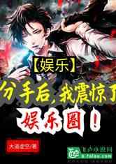 娱乐圈分手爆料小说